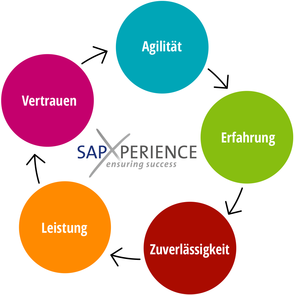 Expertise - wertorientierte SAP-Beratung